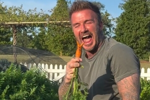 贝克汉姆晒自家菜园视频：胡萝卜要收成了，怎么这么小……