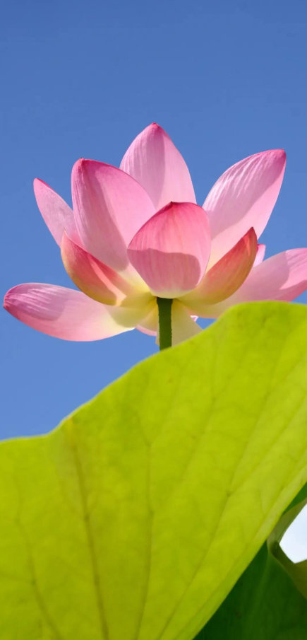 疲惫是成长信号，坚持离梦想更近|长跑|极限|运动员|能量|人生_新浪新闻